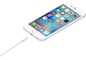 Cable de conector Lightning a USB (50 cm) - Macnificos