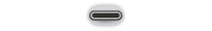Adaptador multipuerto de USB-C a VGA - Macnificos