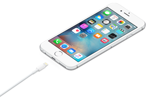 Cable de conector Lightning a USB (1 m) - Macnificos
