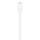 Cargador MagSafe - Macnificos