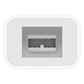 Adaptador Apple de Thunderbolt a FireWire - Macnificos