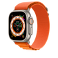 Apple Watch Alpine Loops - Macnificos