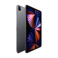 Apple iPad Pro 12,9" M1 | 128 GB | Wi-Fi | Gris Espacial
