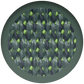 ColorSwatch