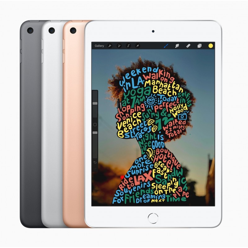 Apple iPad mini 5ª generación | 256 GB | Wi-Fi + Cellular | Oro