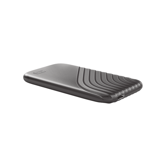 WD My Passport Disco Duro SSD USB-C 1TB Gris Espacial